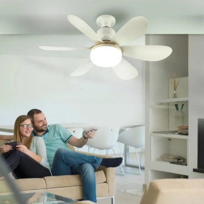 ventilateur de plafond-cleanfan520-blanc